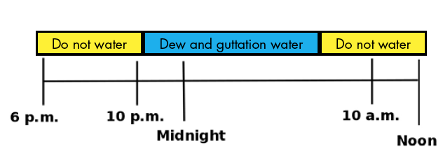 This is an irrigation scheduling chart. You should not water from 6 p.m. to 10 p.m. and 10 a.m. to noon. It is best to water the plants when dew is already on the leaves.
